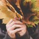 Autumn: A Season Of Falling Leaves