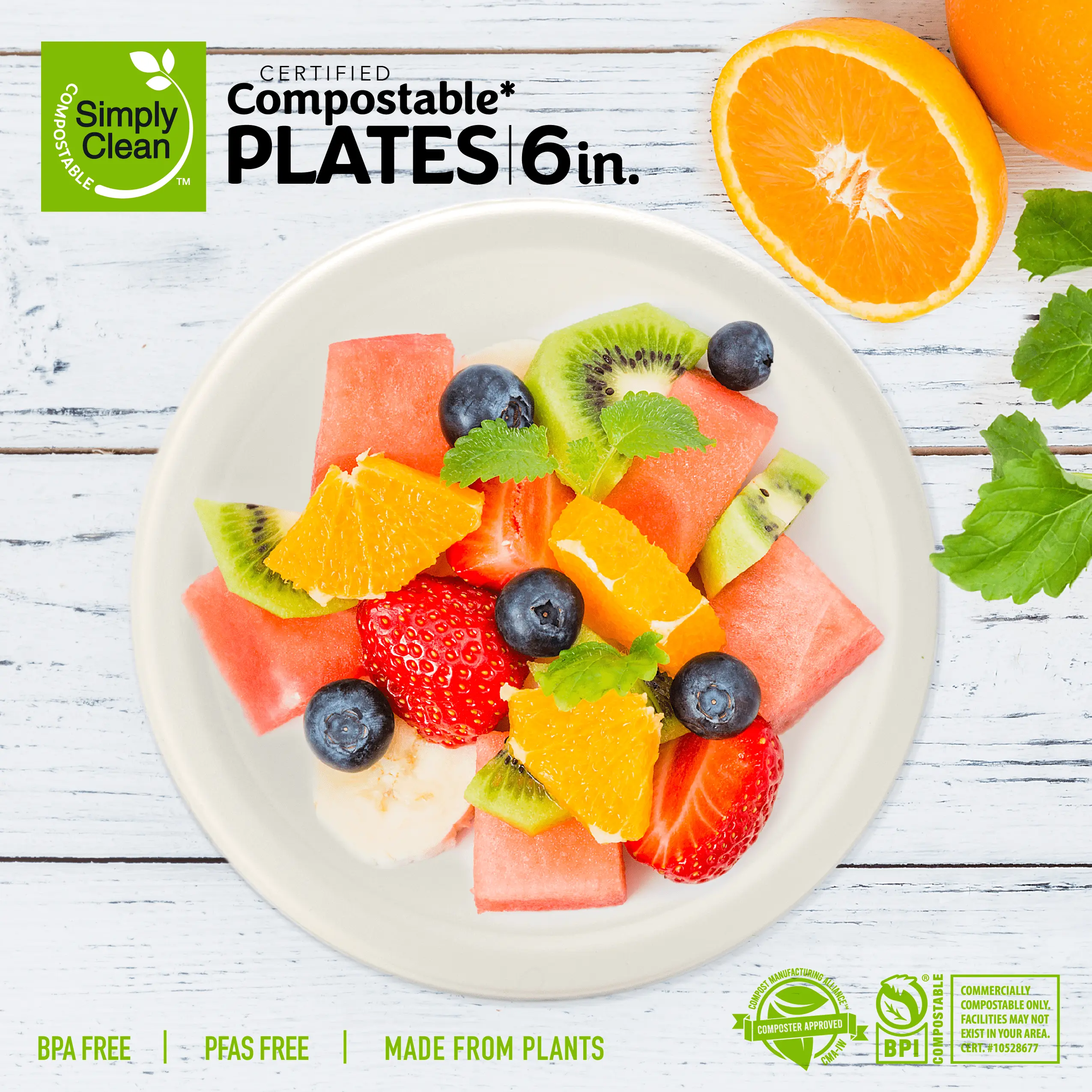 6-Inch Compostable Plates (240 Count)